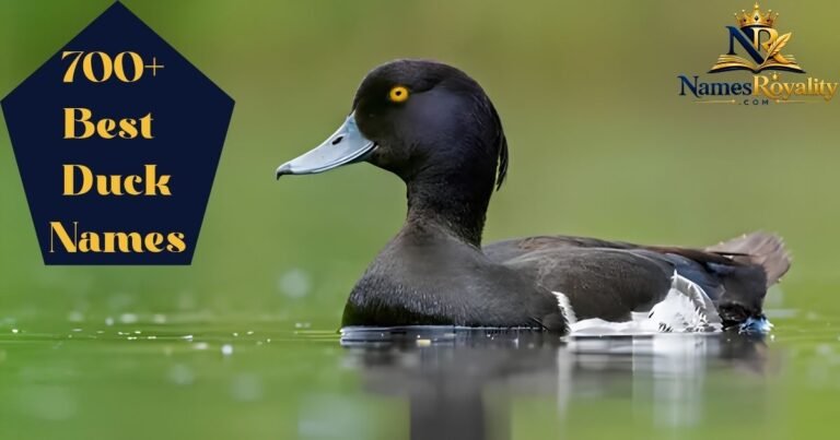 duck Names