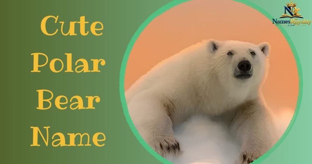 Cute Polar Bear Names
