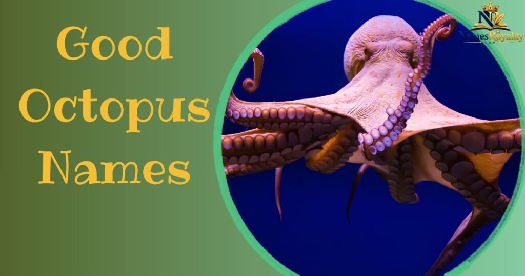 Good Octopus Names