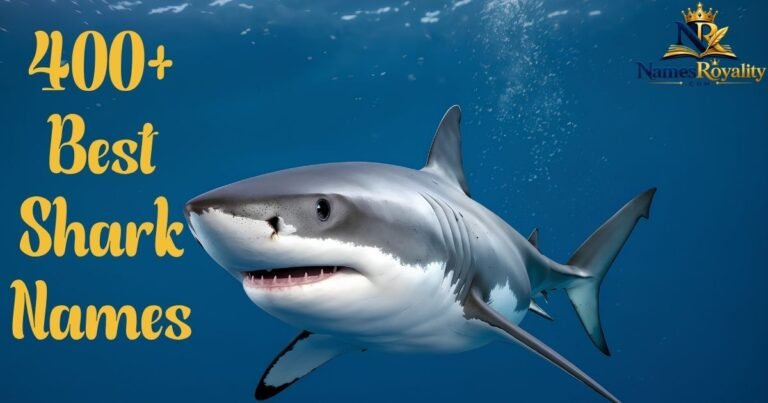 Shark Names
