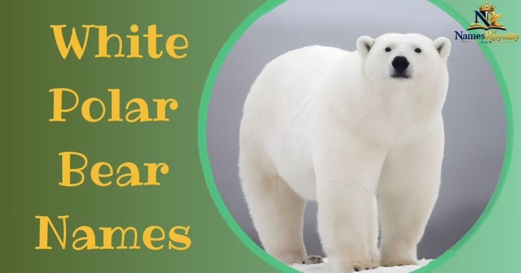White Polar Bear Names
